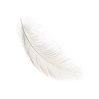 Перо
